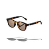 Leopard | Braun