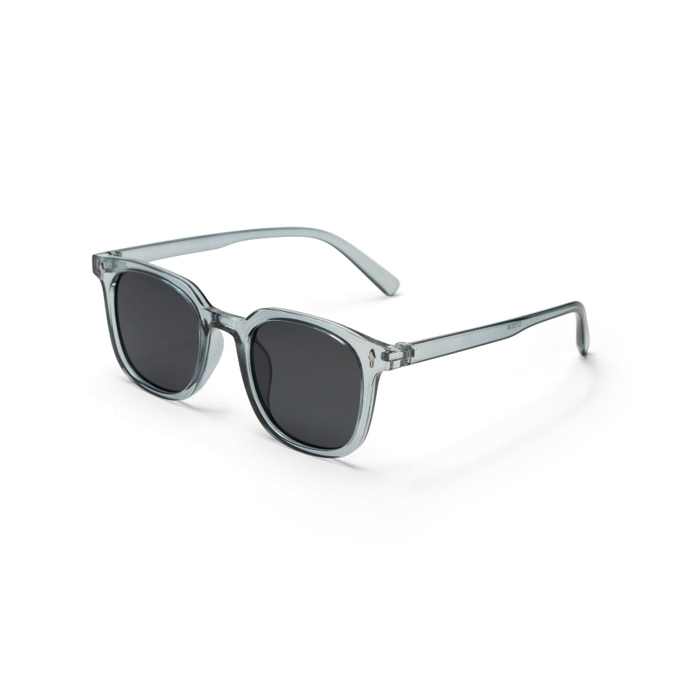 Transparent Gray Frame Gray Lens